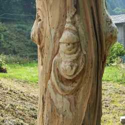 particolare-di-un-viso-scolpito