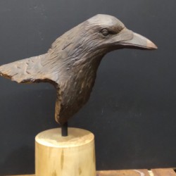 ritratto-di-corvo