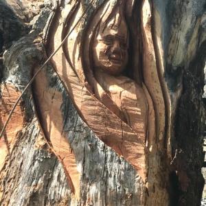 Madre-Montagna