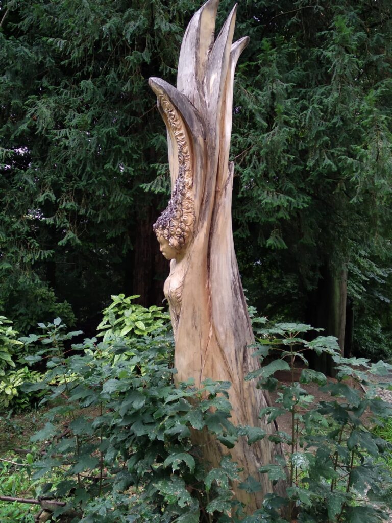 Scultura radicata - figura femminile scolpita in una pianta radicata