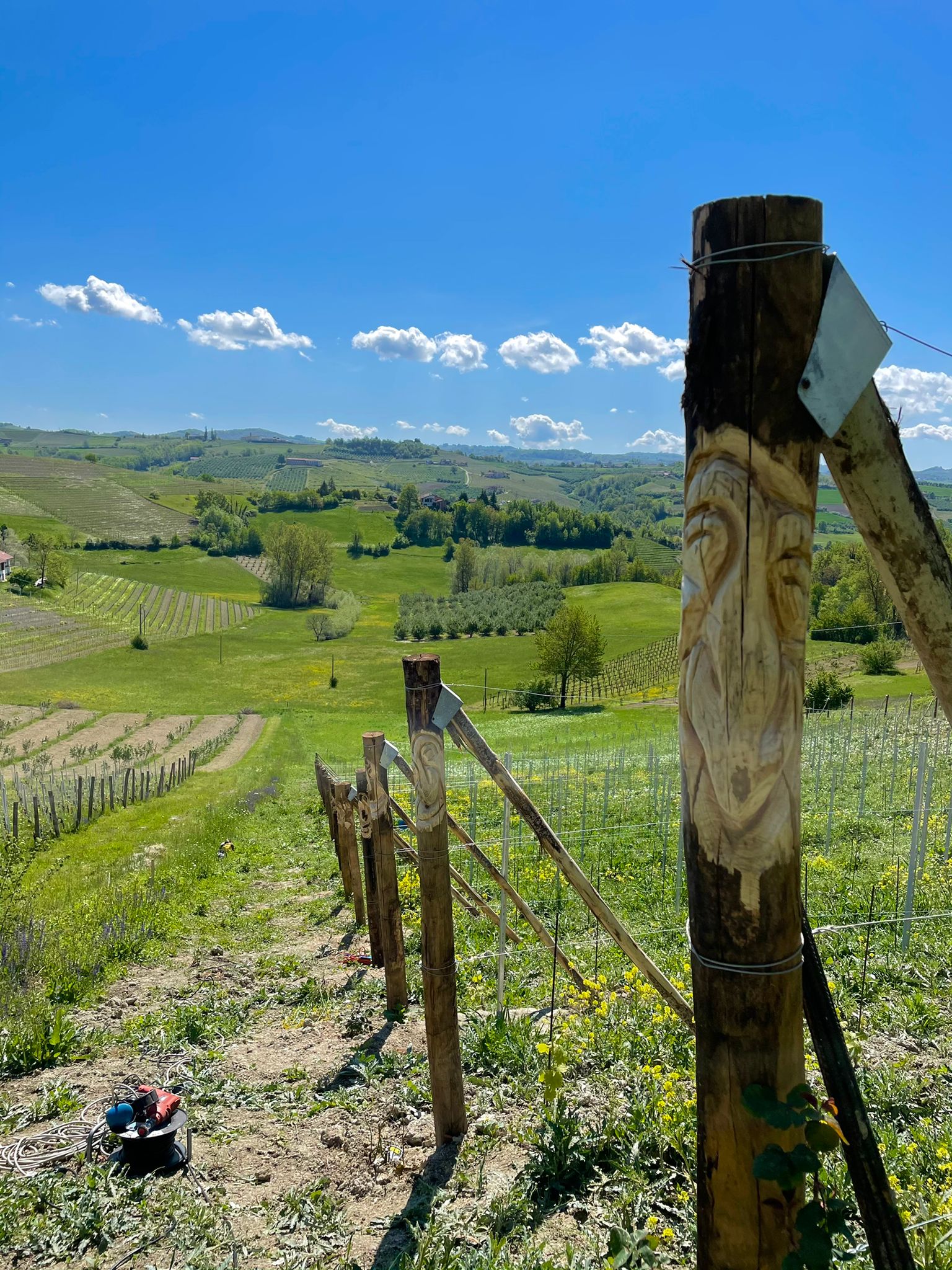 vigna dji ciuc - la vigna dei ciucchi